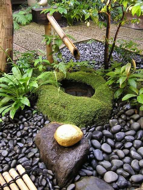 Gold Stone Kanazawa Gardening Tuin Ideeen Chinese Tuin En