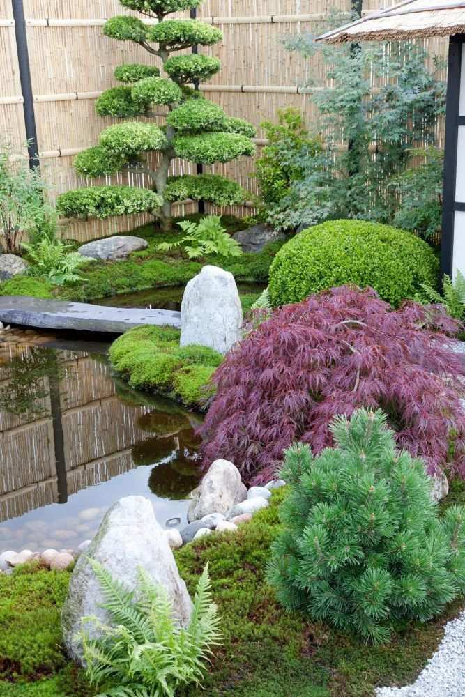 Japanesegardening Chinese Tuin Tuin Ideeen Doe Het Zelf