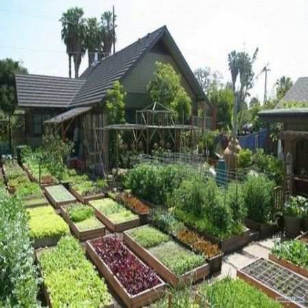 Ecologische Tuin Opfleuren Urban Tuinieren Achtertuinen