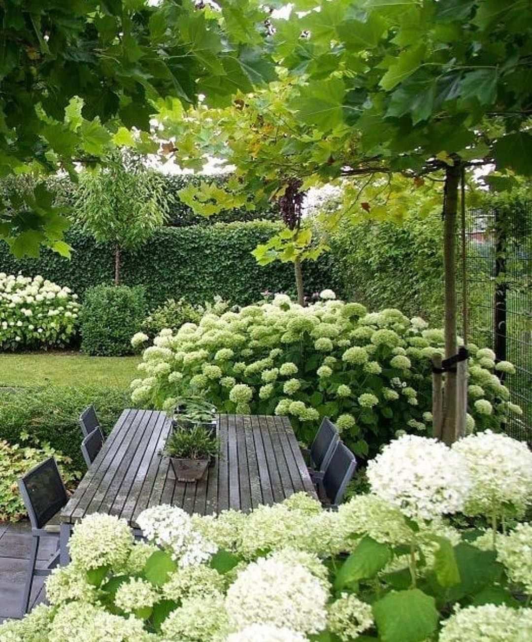 Tuin Met Witte Hortensia S Landelijketuin Ideeen Gardendeco