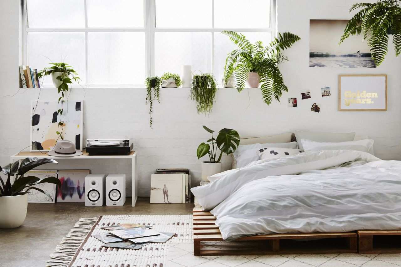 5x Planten Voor Je Slaapkamer Home Inspiration Slaapkamerideeen Slaapkamer Planten En Minimalistische Slaapkamer