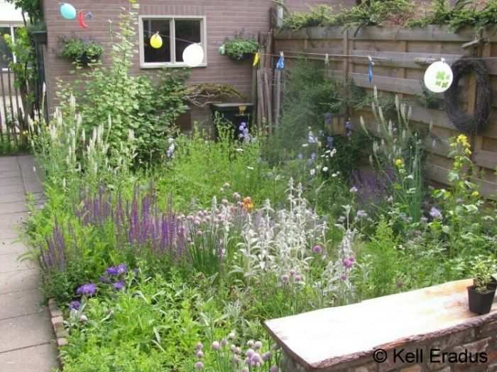Kleine Wilde Tuin Google Zoeken Garden Plants Earth